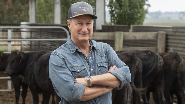 FOCUS: Stephen Gibbons WagyuStephen Gibbons is a Wagyu producer. PICTURED: Stephen Gibbons on his Wagyu farm. PICTURE: ZOE PHILLIPS