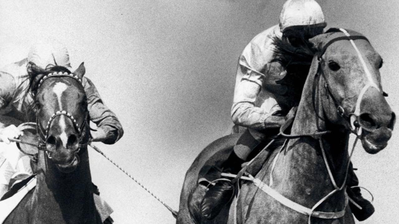 Racehorse Emancipation (R) winning Race 5 at Warwick Farm, 17/03/84 (1984).  Pic Gary Graham.