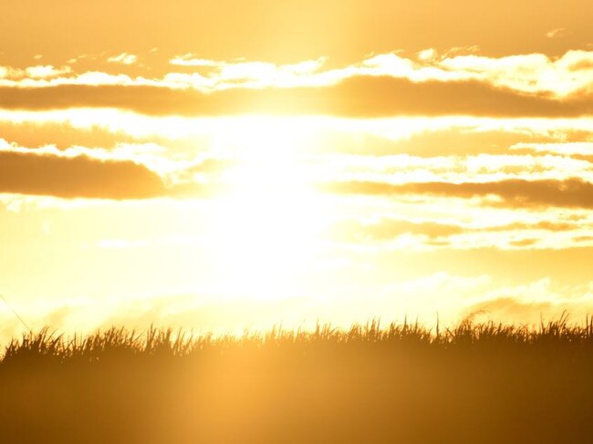 The BoM predicts 29C today - the warmest winter day in two years.