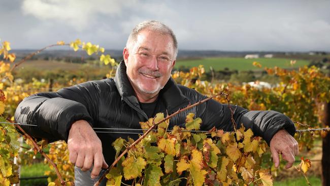 Seppeltsfield owner Warren Randall in one of his McLaren Vale vineyards.