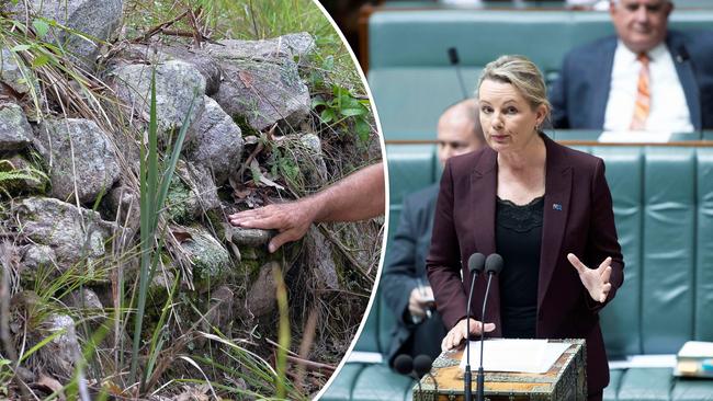 Federal Environment Minister Sussan Ley has been asked to intervene and protect the Gympie Pyramid, which is threatened to be destroyed by the Gympie Bypass.