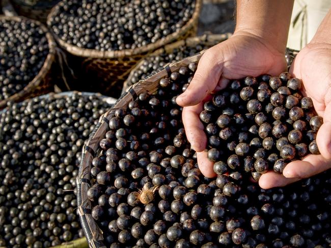 Acai fruit