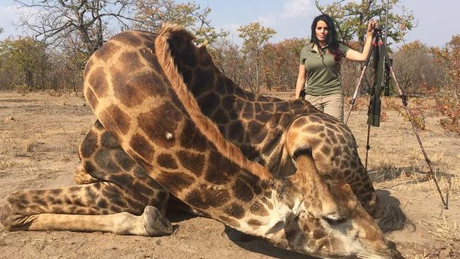 Brekkie Wrap American Hunter Sparks Outrage By Posting Selfie With Dead Giraffe In South Africa 