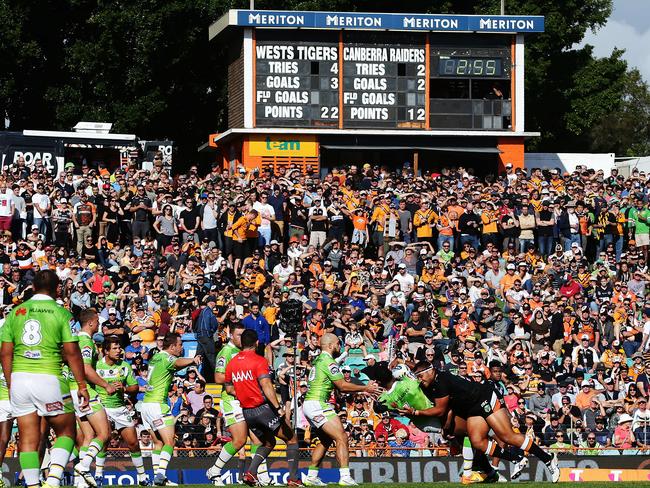 Wests Tigers fans pack the hill at Leichhardt Oval. Picture: Brett Costello