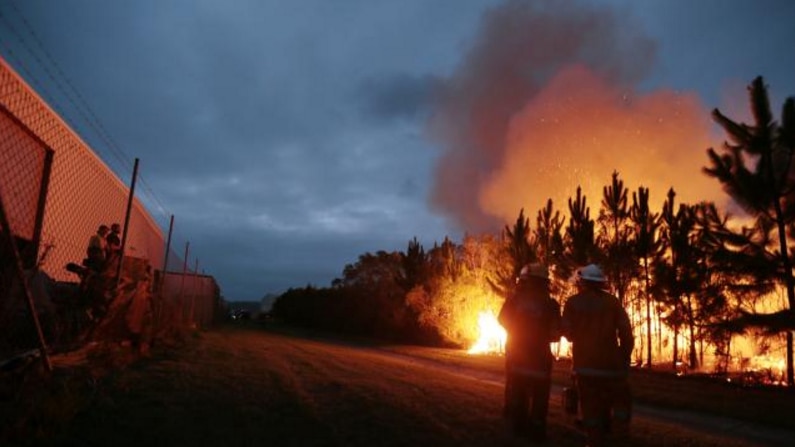 Fire crews battle the Coolum blaze. Pickture: Lachie Millard