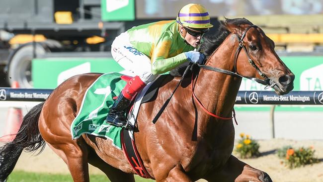 Dr Drill will aim to add the Ballarat Cup to his victory in the Cranbourne Cup. Picture: Getty Images