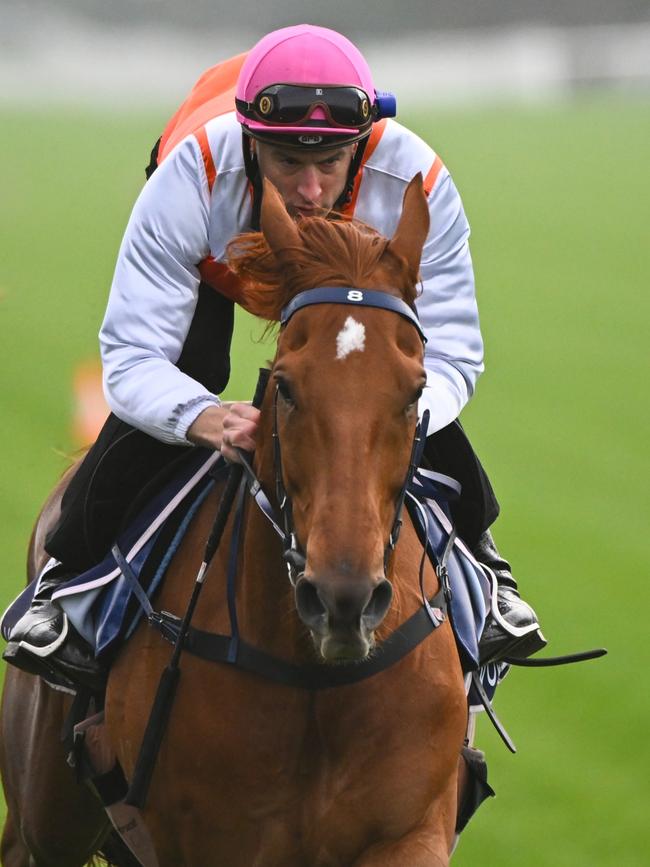 Blake Shinn riding Vow and Declare.