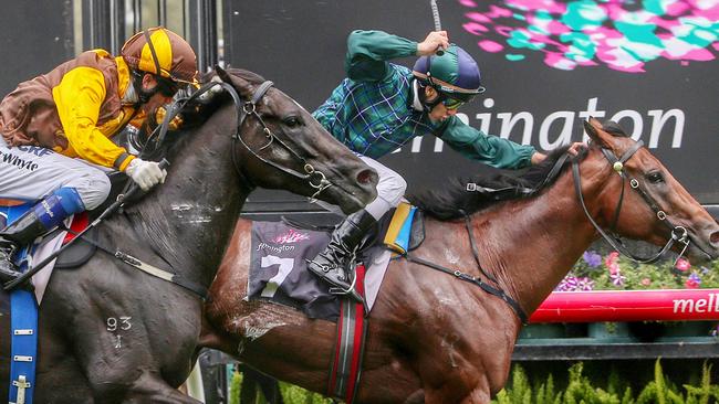 Jetsetting jockeys Brett Prebble, riding Wandjina, holds off fellow international superstar Douglas Whyte on Alpine Eagle. Picture: Colleen Petch