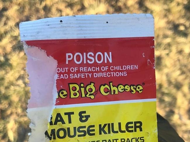 This packet of empty rat bait was allegedly found next to a bin inside a popular dog park in Carina Monday afternoon. Picture: Facebook