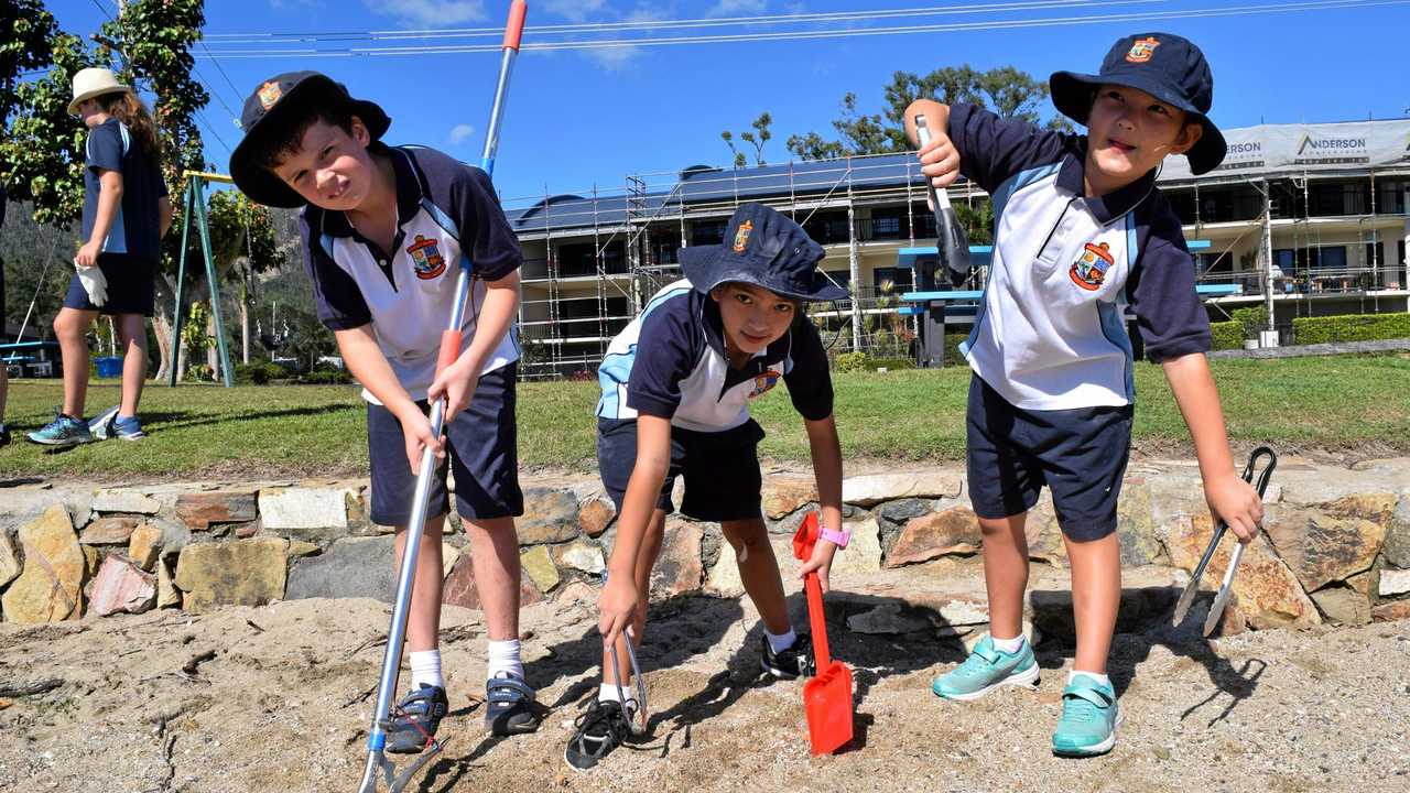 Citizen scientists of the future | The Courier Mail