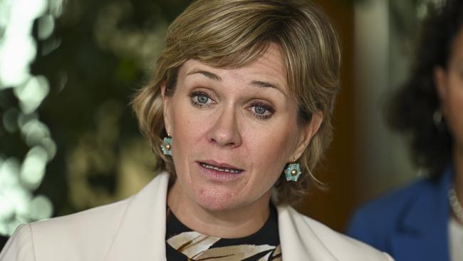 CANBERRA, AUSTRALIA - NCA NewsWire Photos - MAY 24, 2023: : Zali Steggall MP addresses the media at Parliament House in Canberra. Picture: NCA NewsWire / Martin Ollman