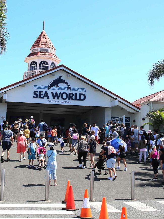 Crowds file into Sea World the day after the helicopter crash. Picture: David Clark