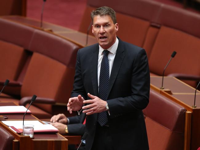 Senator Cory Bernardi makes a point in the Senate Chamber. Picture Kym Smith