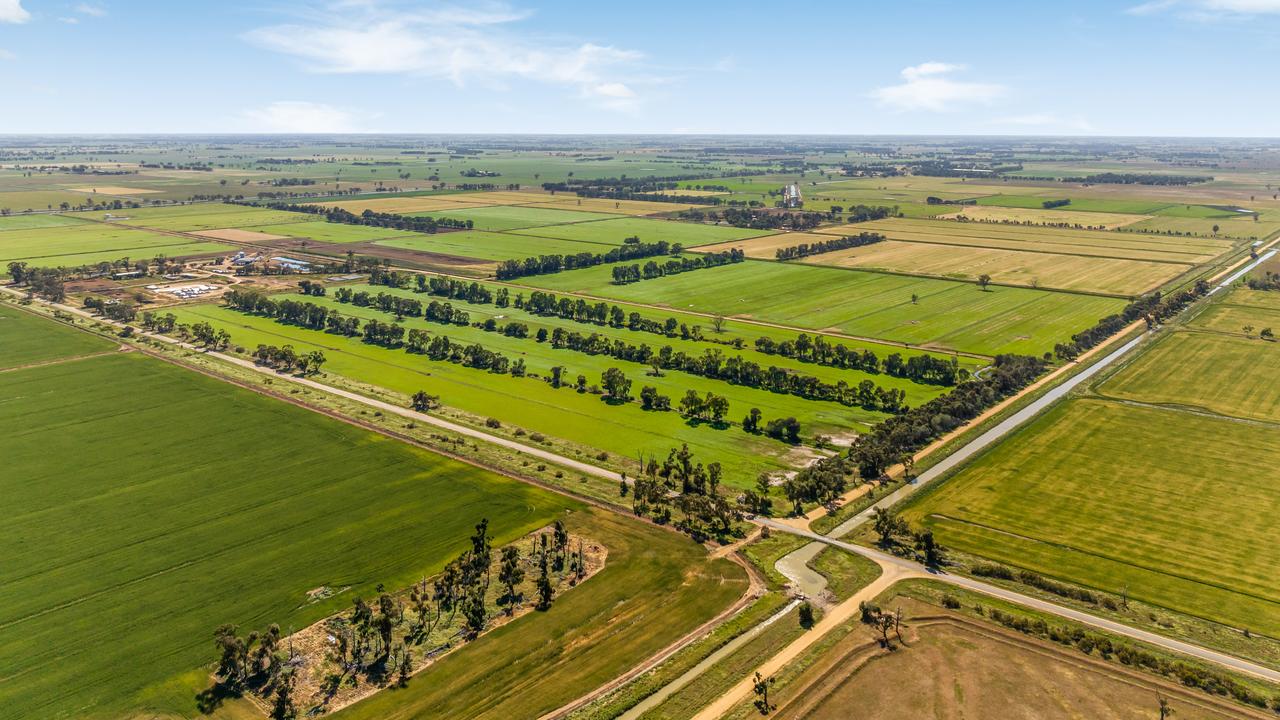 Renowned NSW Riverina dairy farms hit the market