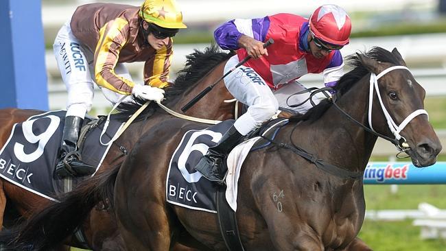 Eclair Big Bang defeats El Roca and Long John in the Caulfield Guineas Prelude at Caulfield last month.