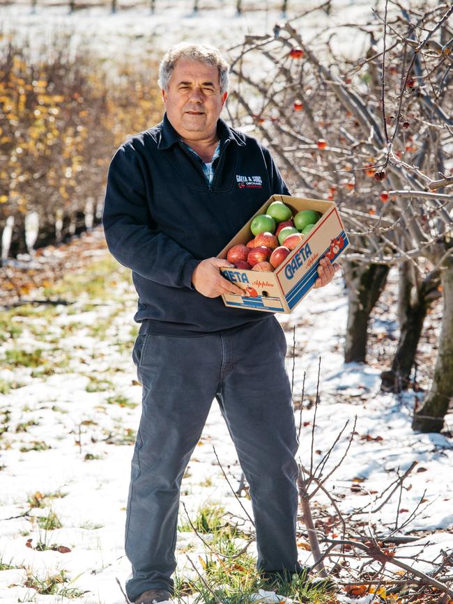 Mr Gaeta gets four times the price by selling his apples direct to consumers. Picture: Jonathan Ng