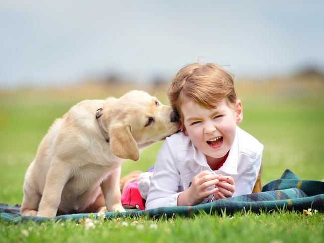 Paige, 5 and her 11-month-old labrador Maggie, which was the east’s second most popular breed. Picture: Nicki Connolly