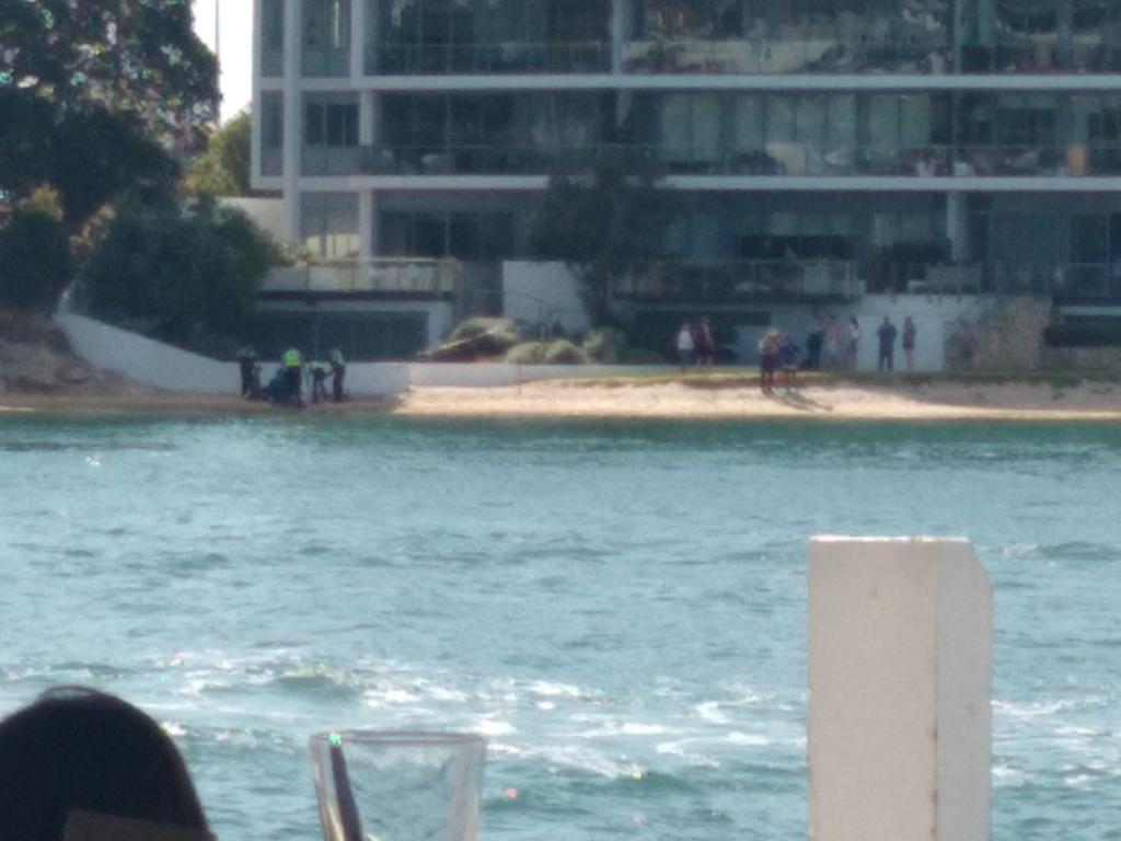 A 16-year-old girl has died after she was mauled by a shark in the Swan River. Picture: Facebook