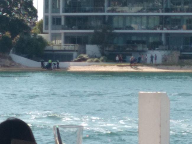 A 16-year-old girl has died after she was mauled by a shark in the Swan River. Picture: Facebook