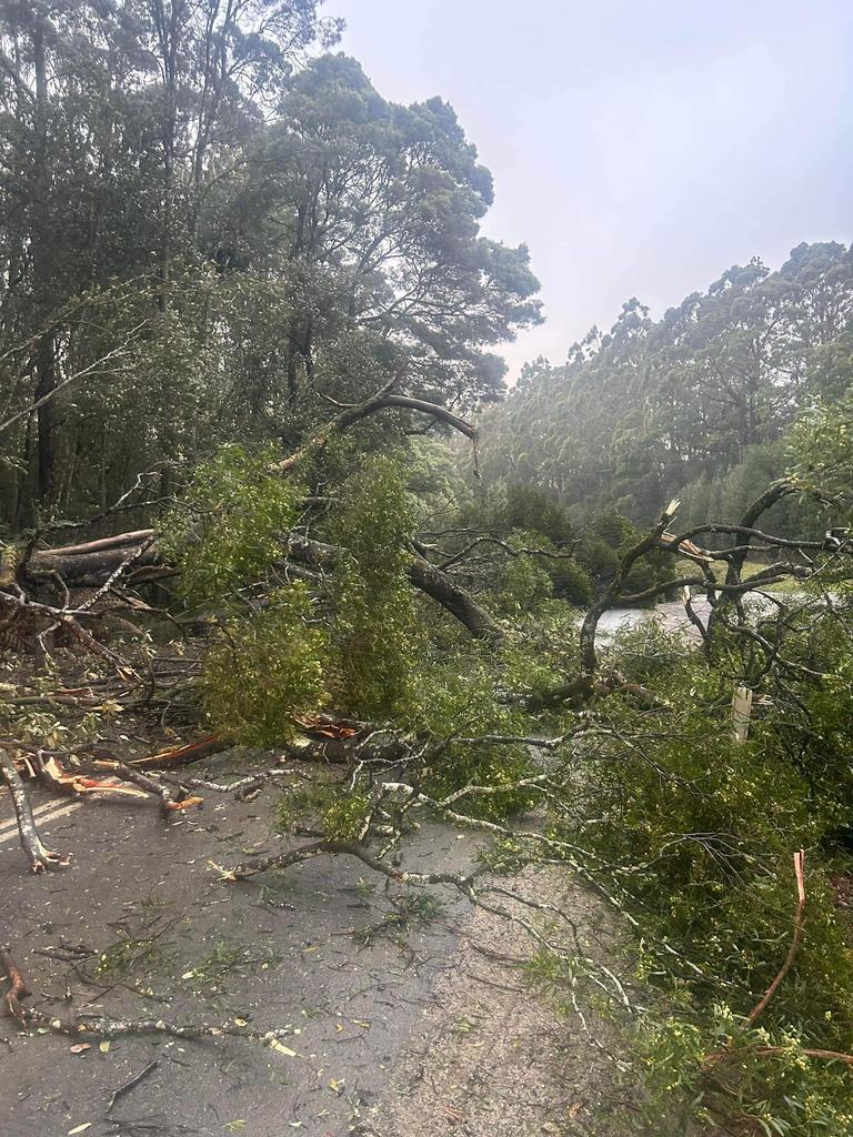 Trees blocking a road at Redpa were cleared by community members on Saturday morning. Picture: Redpa Football Club.