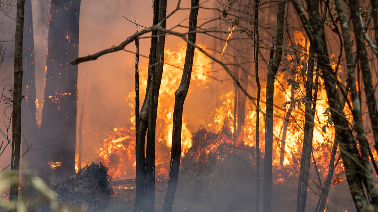 Snug fire to burn ‘for some weeks’ amid heatwave