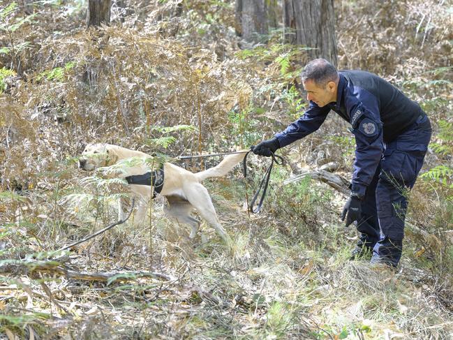 Police search in Buninyong for Samantha Murphy. Picture: Joe Armao