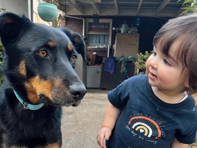 Just a girl and her dog - Max dog and Lacie O‘Donnell. <b><a href="https://www.dailytelegraph.com.au/newslocal/blacktown-advocate/vote-help-us-find-the-cheekiest-toddler-in-nsw/news-story/9ae7eb32bd93be85a472b448d0c19dda">VOTE HERE </a></b>