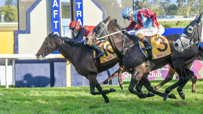 Jockey Ben Thompson drives 10 Purrfect Deal forward to win the 2021 Grafton Cup at the Clarence River Jockey Club July Carnival.