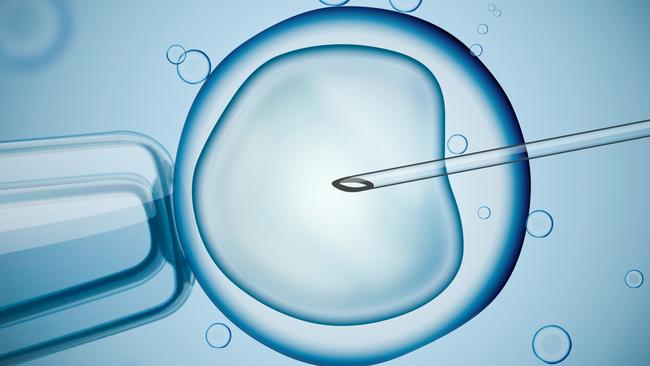 Growing numbers of children are born through IVF. Picture: iStock