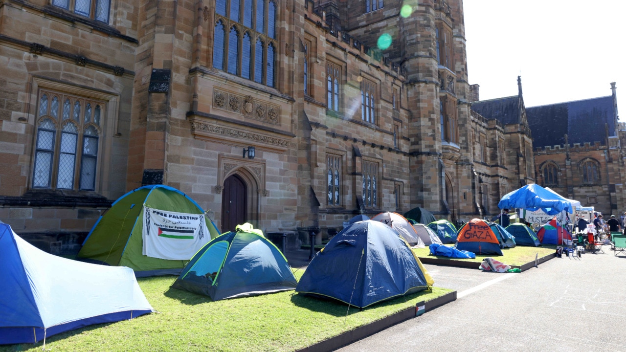 ‘Appalling’: Shadow Education Minister slams handling over pro-Palestine protest