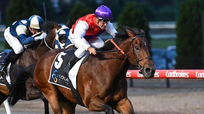 City winner Fullproof can make a winning return to racing at Geelong on Tuesday. Picture: Racing Photos via Getty Images.