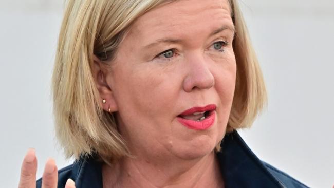 Bridget Archer. Picture: Scott Gelston/NewsWire