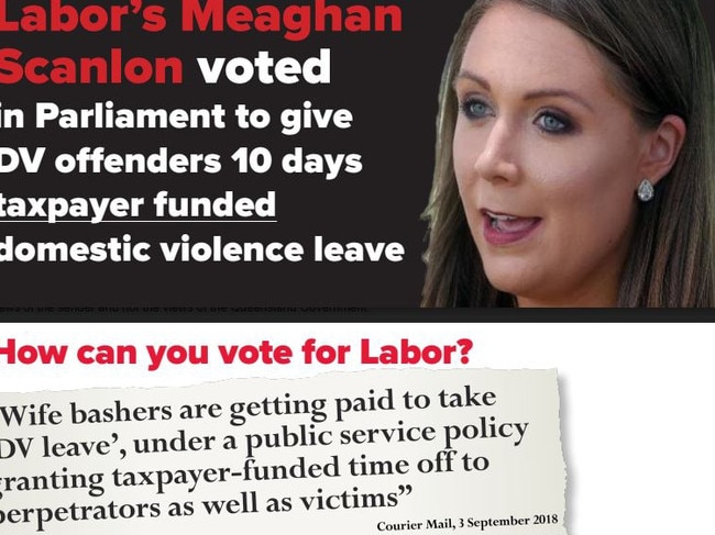 LNP leaflet on Gaven MP Meaghan Scanlon and her support for DV paid leave.