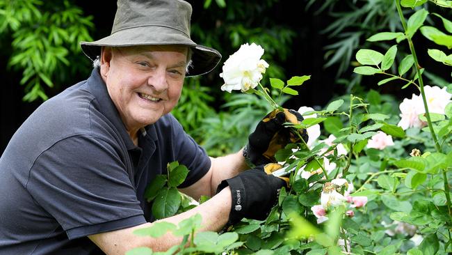 Michael Keelan believes this year has been “just perfect” for roses.