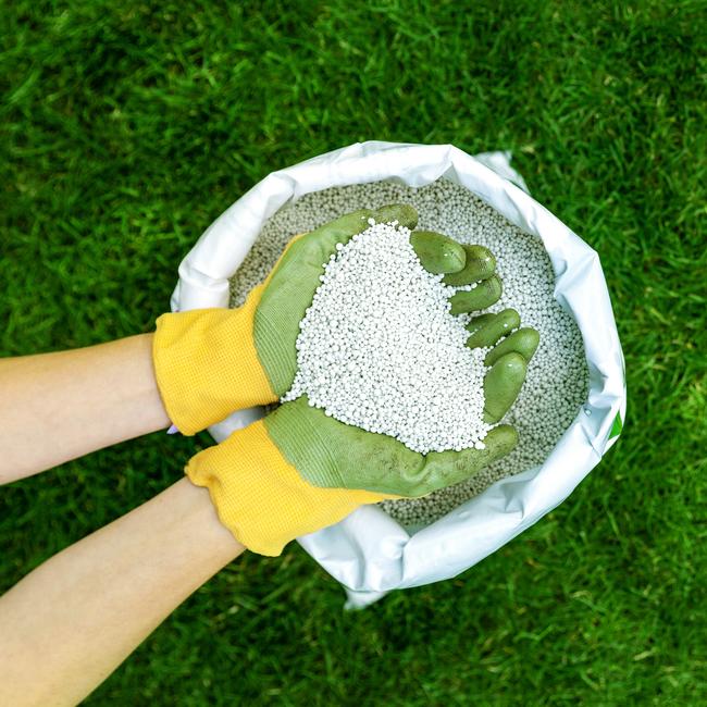 Feeding your lawn with granular fertiliser for perfect green grass is a must.