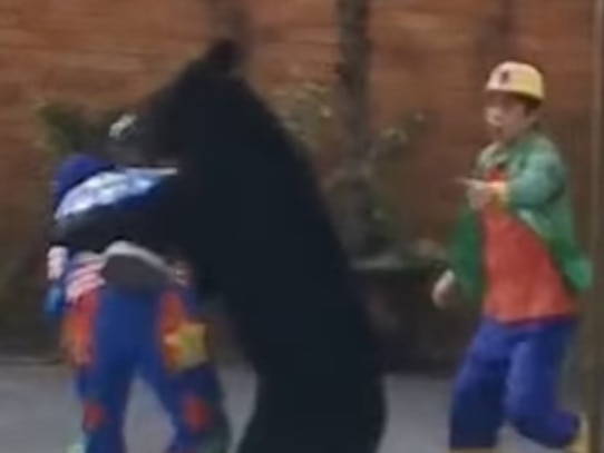 Horror moment bear turns on performer during circus performance