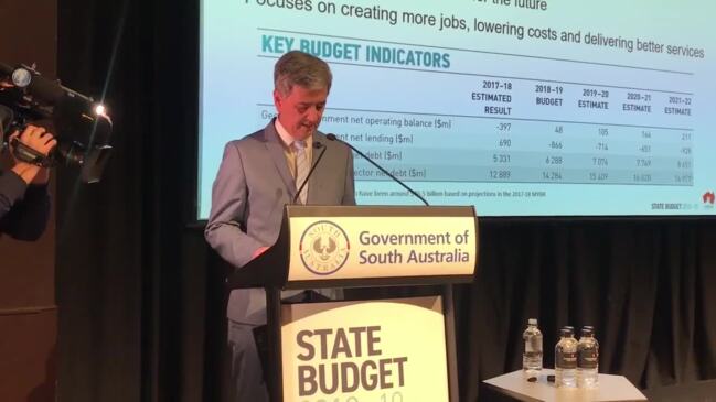 SA budget swings axe to fund surplus