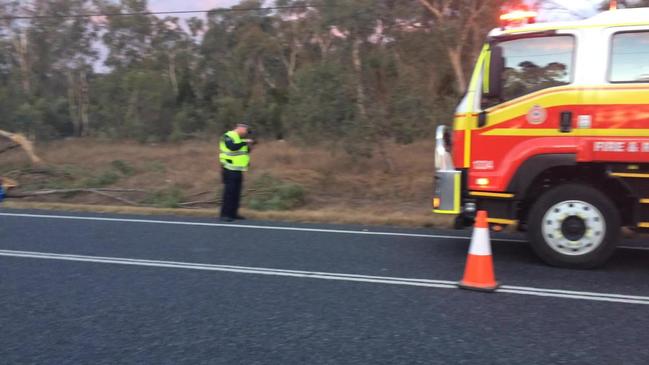 Woman dies in horror highway crash