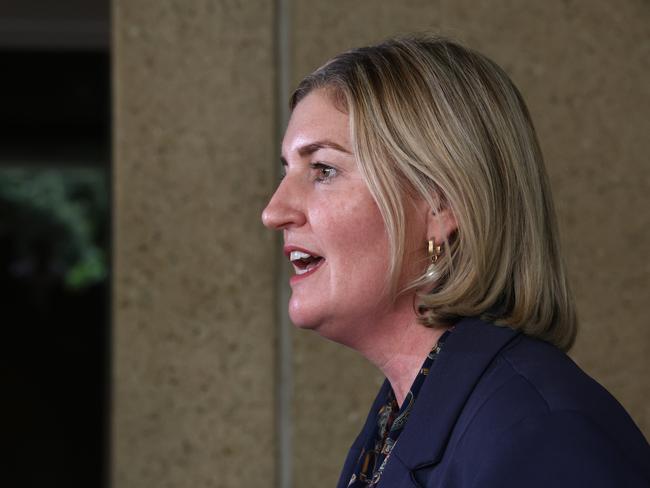 Shadow treasurer Shannon Fentiman