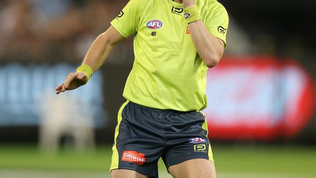 Umpires have long been a target for fan ire. Picture: Michael Klein