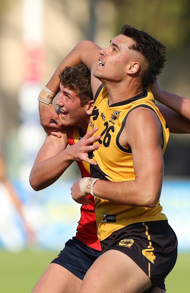 Kayle Gerreyn clashes with Alex Dodson in the ruck during the National Championships. Picture: Sarah Reed/AFL Photos via Getty Images.