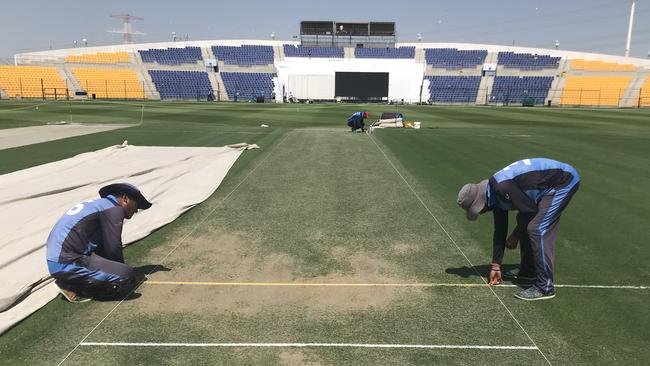 The Australian Test side is shocked to see a green top in Abu Dhabi. Picture: Ben Horne