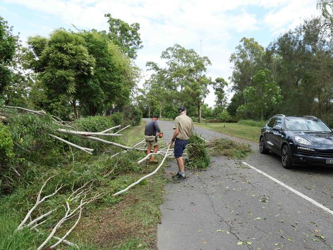 Workers clean up a tree fallen across a road at Indooroopilly on Thursday morning after a wild storm swept through on Wednesday night. Picture Lachie Millard