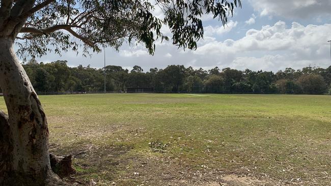 The existing grass turf at Rofe Park