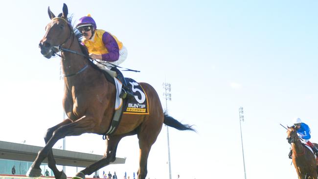 Impressive debut winner McGaw will race for $1m in Saturday's VOBIS Platinum Showdown at Caulfield. Picture: Racing Photos via Getty Images