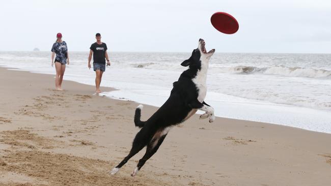 Showers and storms are forecast for the Far North on Friday. Yorkeys Knob residents Jessica Moore and Mark Van Den Oetelaar take their Kelpie cross Border Collie Astro out for a frisbee session on Yorkeys Knob beach. Picture: Brendan Radke