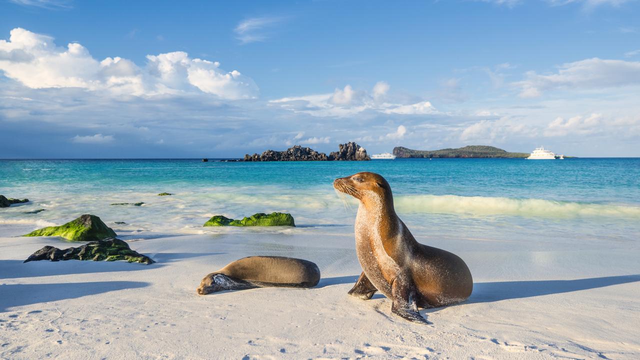 The Galapagos Islands in the Pacific Ocean are a popular destination for cruisers. Picture: iStock