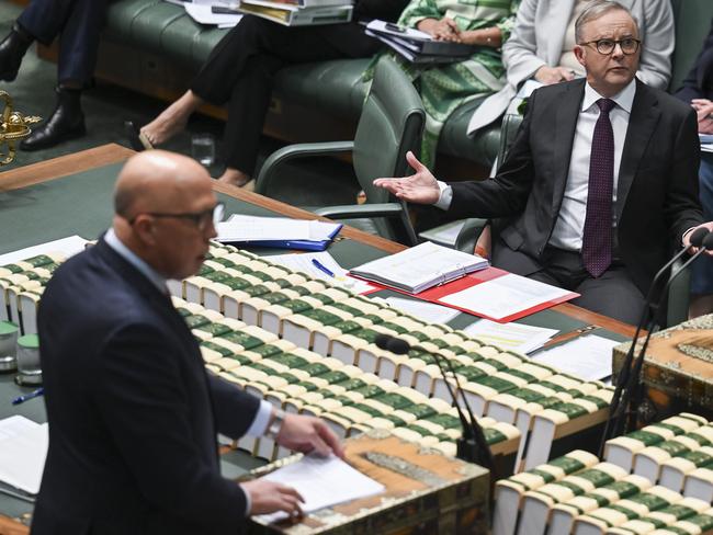 Both Anthony Albanese and Peter Dutton have been outspoken about the activities of the Greens in supporting civil disturbances here in Australia. Picture: Martin Ollman