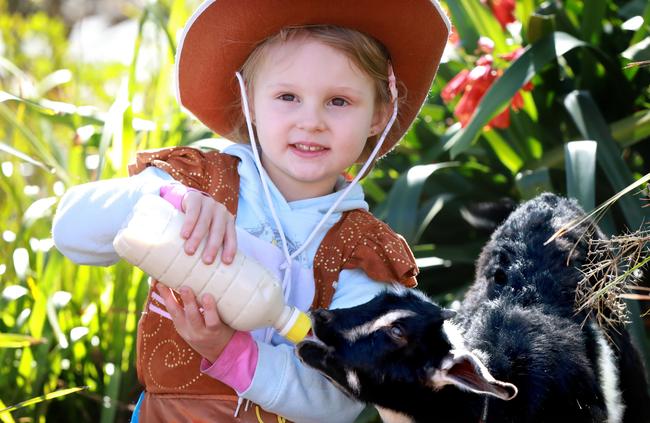 Acacia Gardens’ Playdays Preschool &amp; Day Care Centre held its fundraiser on Friday. Charlotte Green, 4, fees a kid goat. Picture: Angelo Velardo