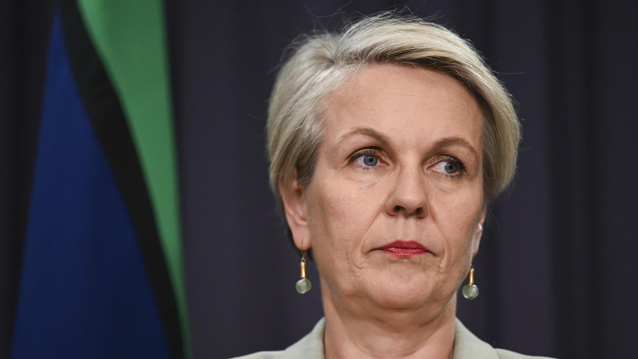 Tanya Plibersek’s handling of the Blayney gold mine has come under scrutiny. Picture: NewsWire / Martin Ollman